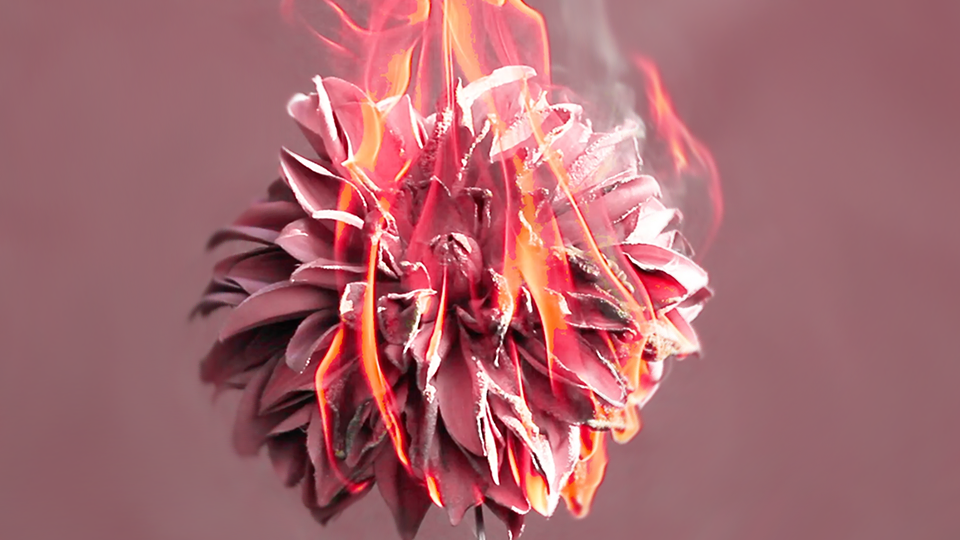 Destruction