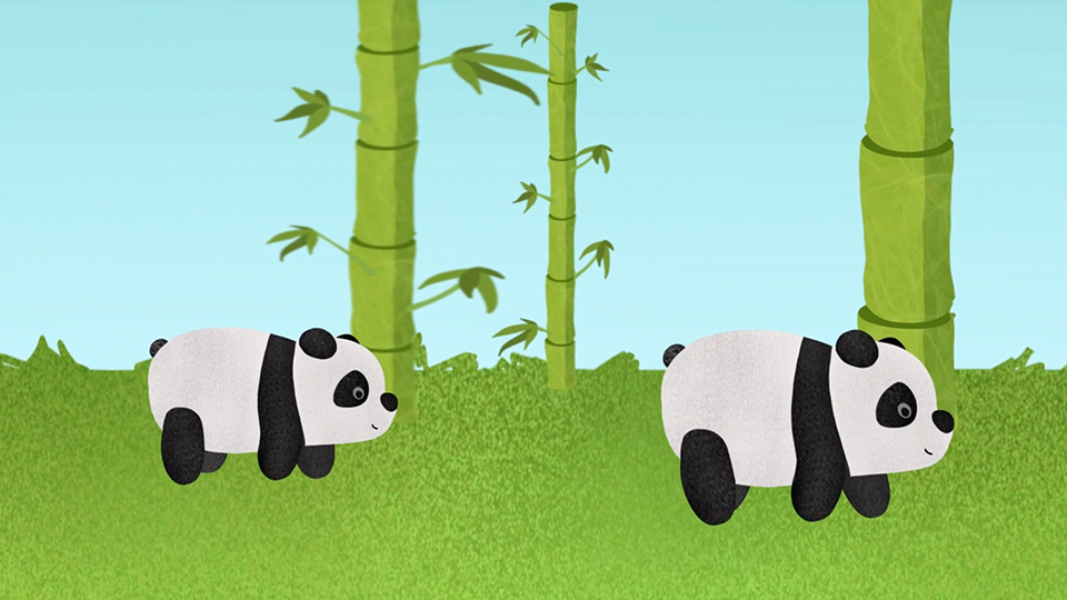 Panda Animation
